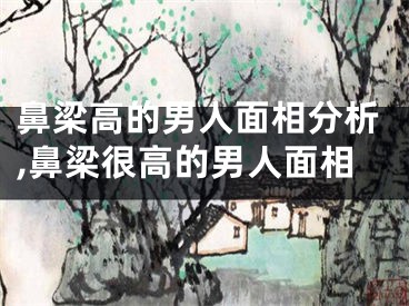 鼻梁高的男人面相分析,鼻梁很高的男人面相
