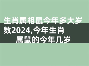 生肖属相鼠今年多大岁数2024,今年生肖属鼠的今年几岁