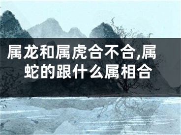 属龙和属虎合不合,属蛇的跟什么属相合