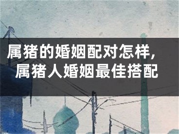 属猪的婚姻配对怎样,属猪人婚姻最佳搭配
