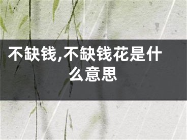 不缺钱,不缺钱花是什么意思
