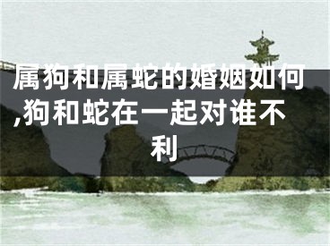属狗和属蛇的婚姻如何,狗和蛇在一起对谁不利