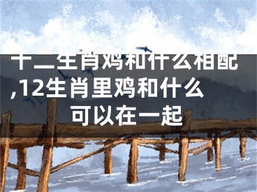 十二生肖鸡和什么相配,12生肖里鸡和什么可以在一起