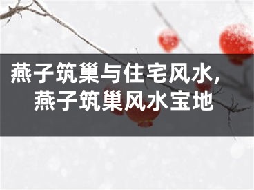 燕子筑巢与住宅风水,燕子筑巢风水宝地