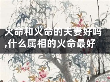 火命和火命的夫妻好吗,什么属相的火命最好