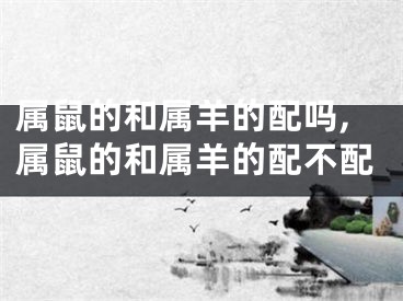 属鼠的和属羊的配吗,属鼠的和属羊的配不配
