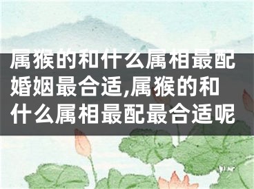 属猴的和什么属相最配婚姻最合适,属猴的和什么属相最配最合适呢