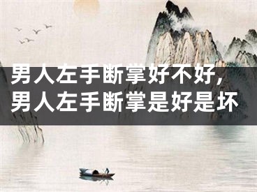 男人左手断掌好不好,男人左手断掌是好是坏