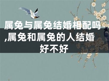 属兔与属兔结婚相配吗,属兔和属兔的人结婚好不好