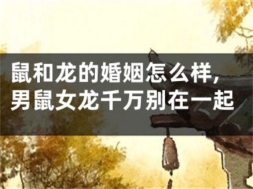 鼠和龙的婚姻怎么样,男鼠女龙千万别在一起