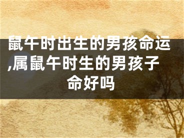 鼠午时出生的男孩命运,属鼠午时生的男孩子命好吗