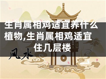 生肖属相鸡适宜养什么植物,生肖属相鸡适宜住几层楼