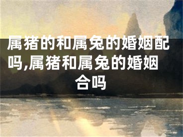 属猪的和属兔的婚姻配吗,属猪和属兔的婚姻合吗