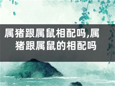 属猪跟属鼠相配吗,属猪跟属鼠的相配吗