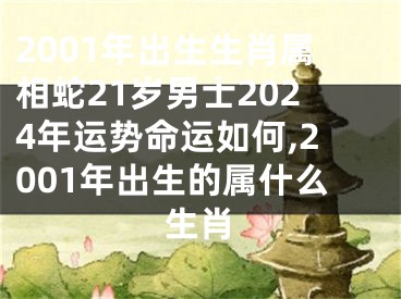 2001年出生生肖属相蛇21岁男士2024年运势命运如何,2001年出生的属什么生肖