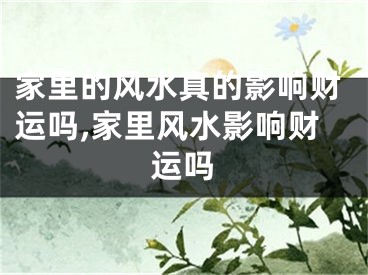 家里的风水真的影响财运吗,家里风水影响财运吗