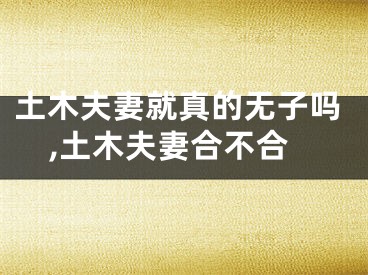 土木夫妻就真的无子吗,土木夫妻合不合