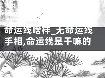 命运线啥样_无命运线手相,命运线是干嘛的