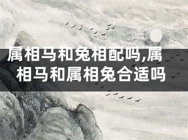 属相马和兔相配吗,属相马和属相兔合适吗