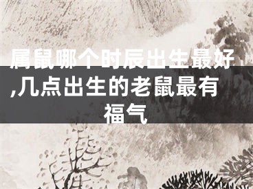 属鼠哪个时辰出生最好,几点出生的老鼠最有福气