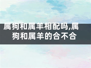 属狗和属羊相配吗,属狗和属羊的合不合