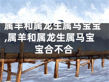 属羊和属龙生属马宝宝,属羊和属龙生属马宝宝合不合
