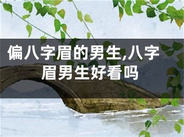 偏八字眉的男生,八字眉男生好看吗