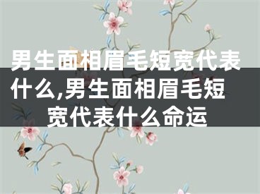 男生面相眉毛短宽代表什么,男生面相眉毛短宽代表什么命运