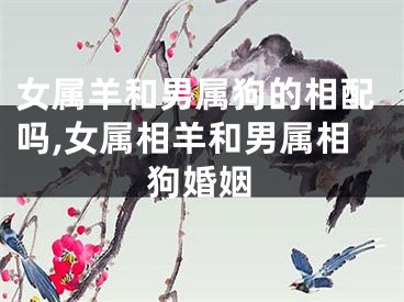 女属羊和男属狗的相配吗,女属相羊和男属相狗婚姻