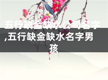 五行缺金缺水公司名字,五行缺金缺水名字男孩
