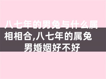 八七年的男兔与什么属相相合,八七年的属兔男婚姻好不好