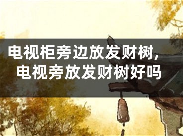 电视柜旁边放发财树,电视旁放发财树好吗