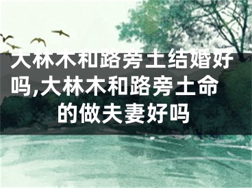 大林木和路旁土结婚好吗,大林木和路旁土命的做夫妻好吗