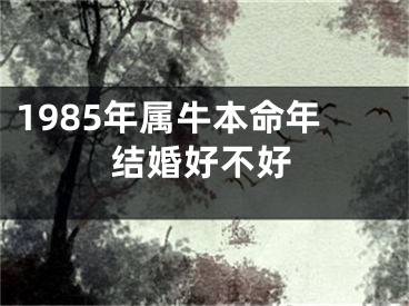 1985年属牛本命年结婚好不好