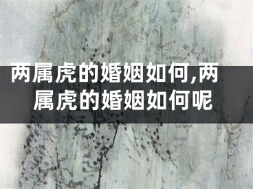 两属虎的婚姻如何,两属虎的婚姻如何呢