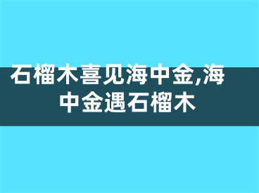 石榴木喜见海中金,海中金遇石榴木