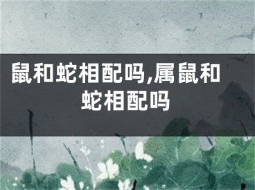 鼠和蛇相配吗,属鼠和蛇相配吗