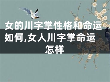 女的川字掌性格和命运如何,女人川字掌命运怎样