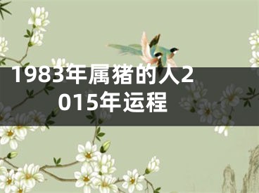 1983年属猪的人2015年运程