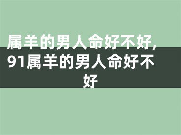 属羊的男人命好不好,91属羊的男人命好不好