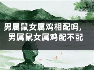 男属鼠女属鸡相配吗,男属鼠女属鸡配不配