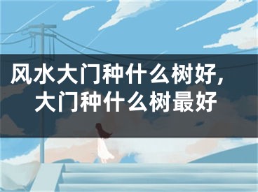 风水大门种什么树好,大门种什么树最好