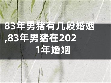 83年男猪有几段婚姻,83年男猪在2021年婚姻