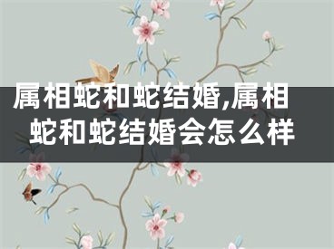 属相蛇和蛇结婚,属相蛇和蛇结婚会怎么样