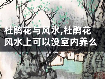 杜鹃花与风水,杜鹃花风水上可以没室内养么