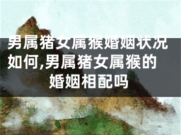 男属猪女属猴婚姻状况如何,男属猪女属猴的婚姻相配吗