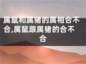 属鼠和属猪的属相合不合,属鼠跟属猪的合不合