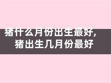 猪什么月份出生最好,猪出生几月份最好