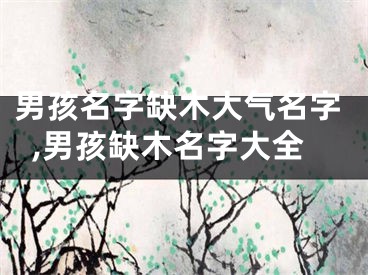 男孩名字缺木大气名字,男孩缺木名字大全