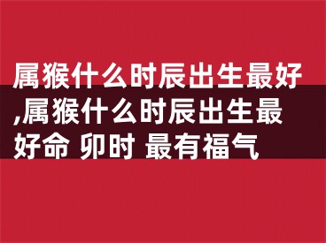 属猴什么时辰出生最好,属猴什么时辰出生最好命 卯时 最有福气